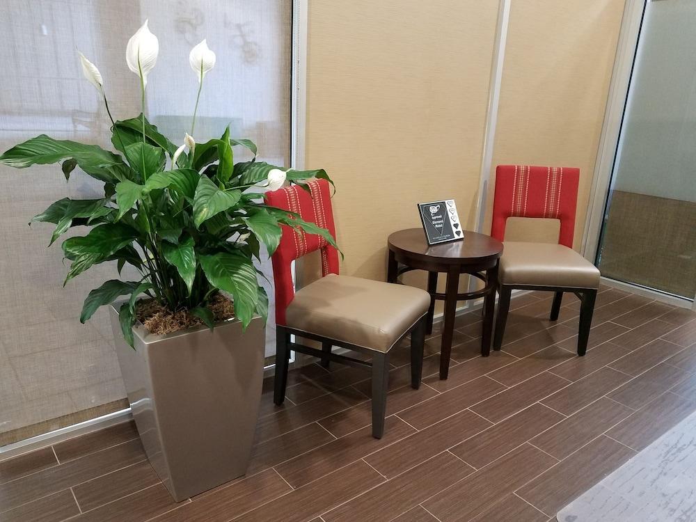 Comfort Inn Memphis Downtown Экстерьер фото