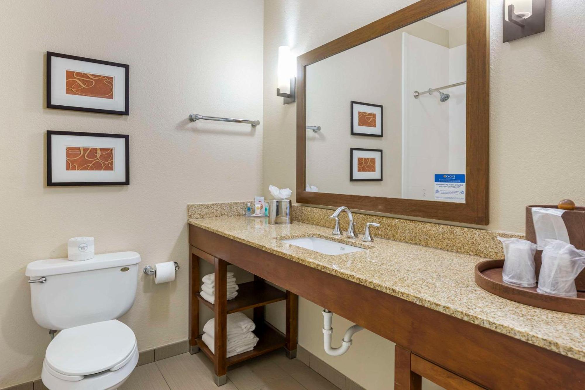 Comfort Inn Memphis Downtown Экстерьер фото
